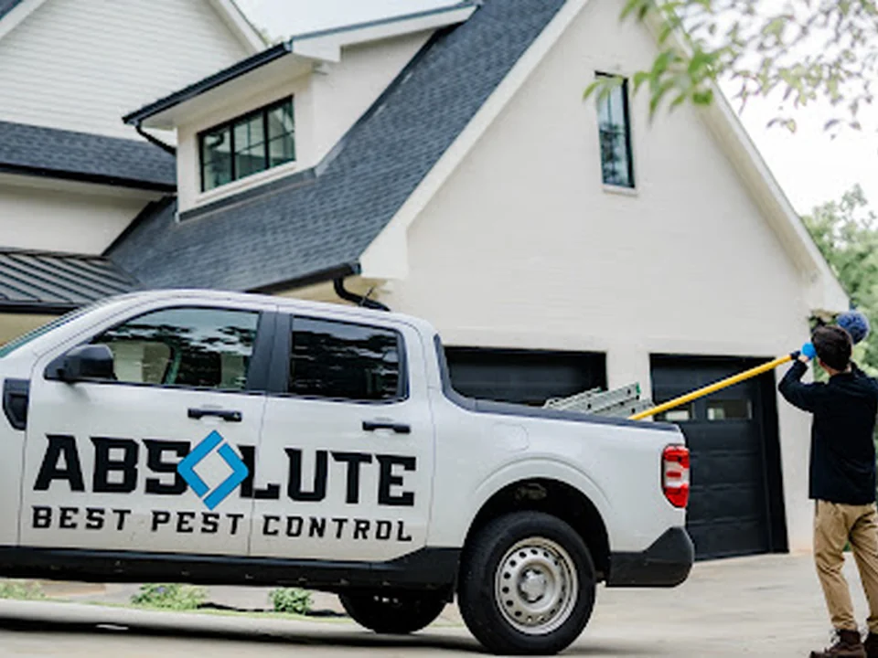 Absolute Best Pest Control