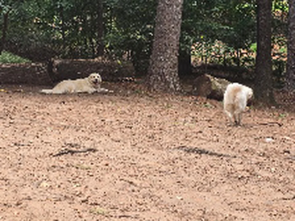 Adair Dog Park