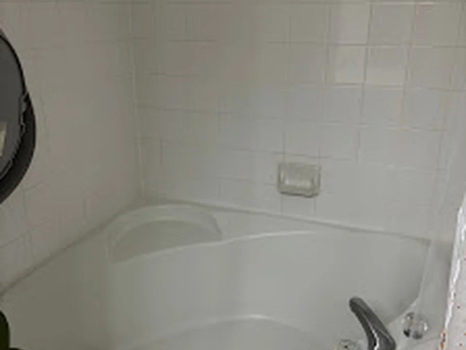 Amazon Cleaning