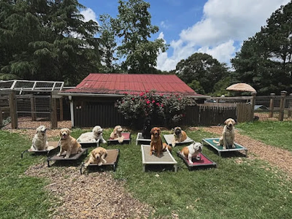 Atlanta Dog Trainer