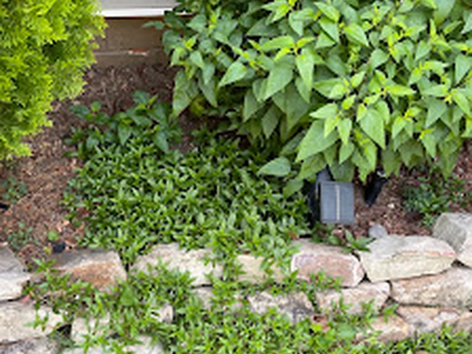 Atlanta Lawn Care & Contracting LLC