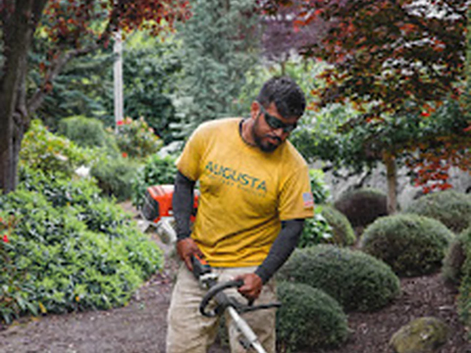 Foto de Augusta Lawn Care of Stone Mountain