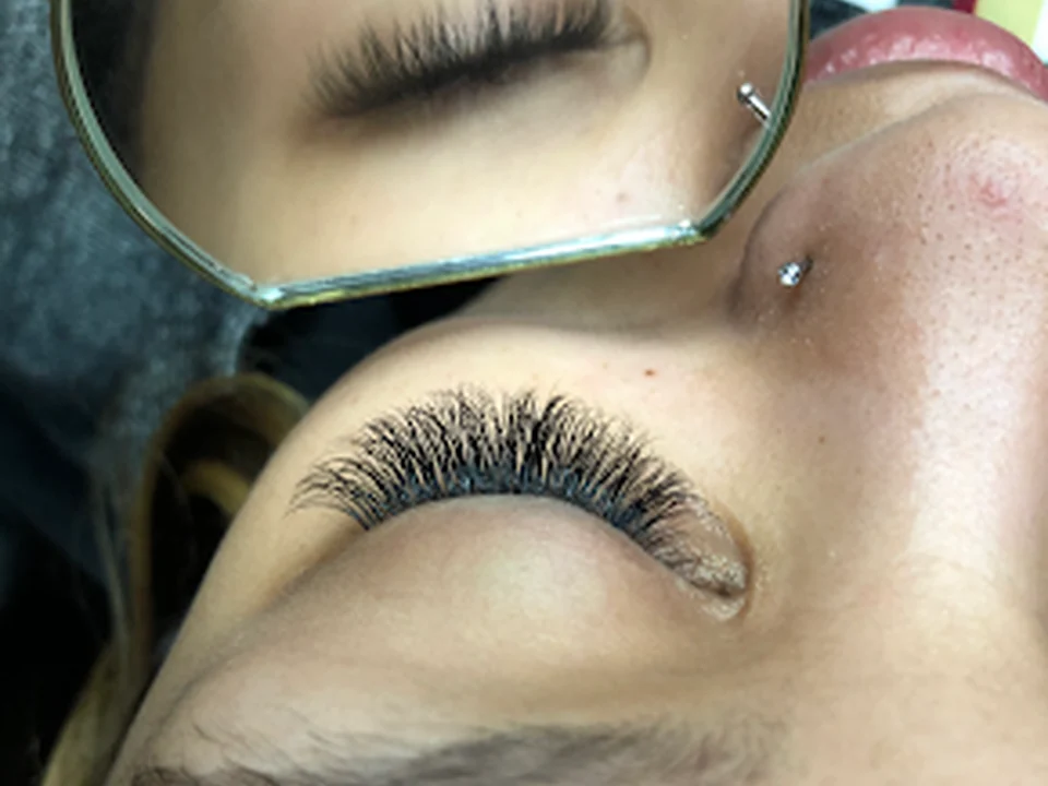 Avid Lashes