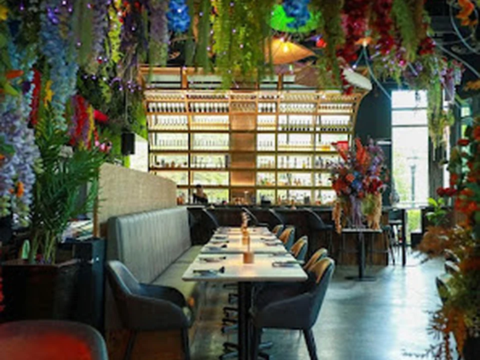 B.O.T (Bar of Thailand)