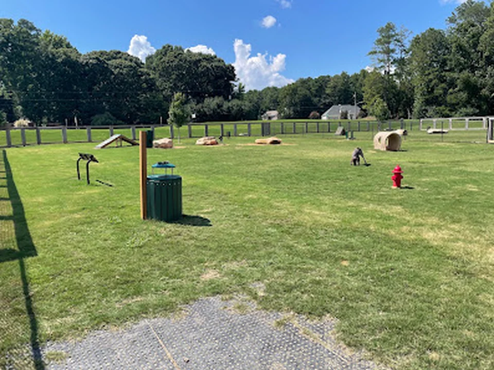 Bark Park - International Park