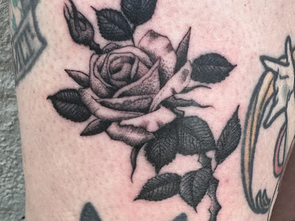Big Cat Tattoo