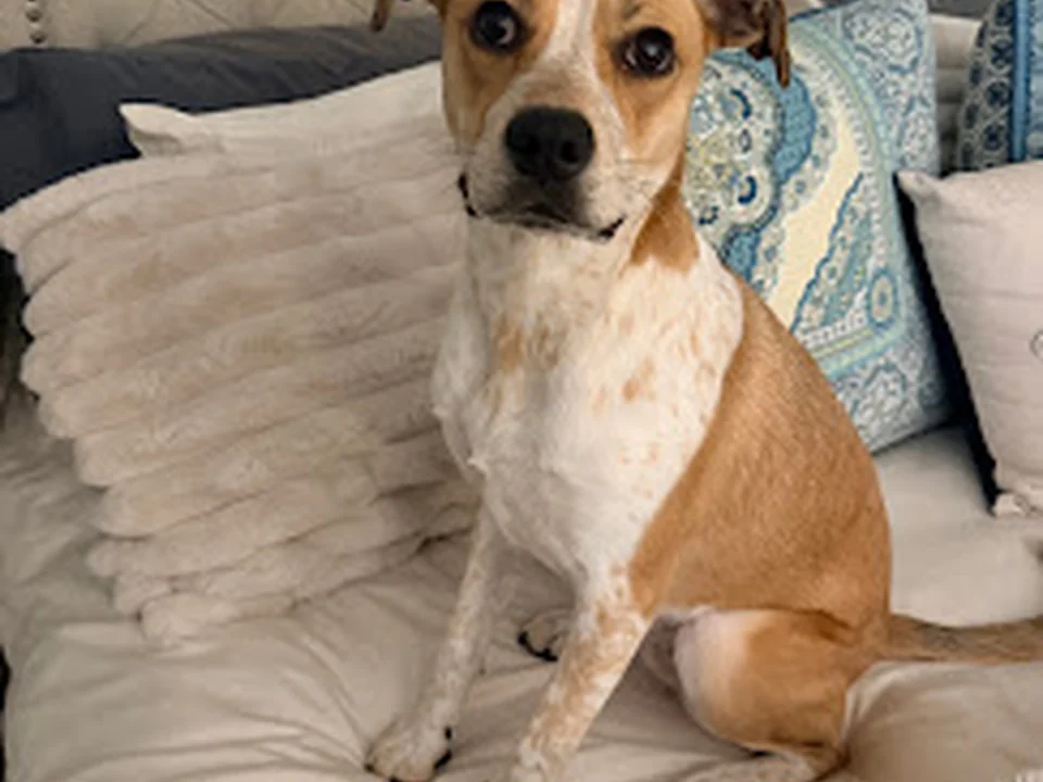 Bosley's Place
