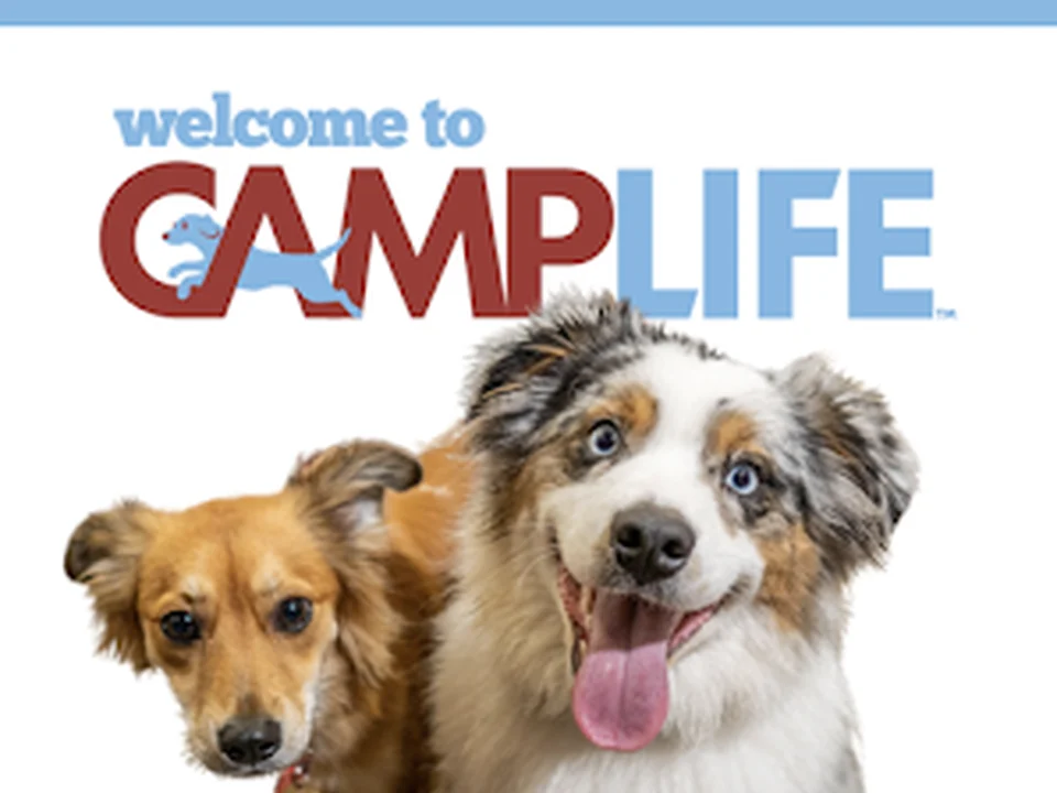 Camp Bow Wow Lawrenceville GA
