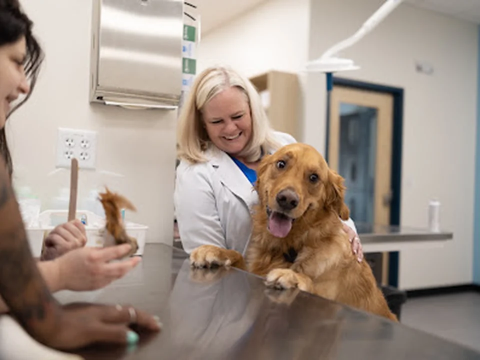 CityVet | Midtown Veterinary Clinic & Urgent Care