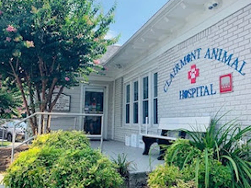 Clairmont Animal Hospital