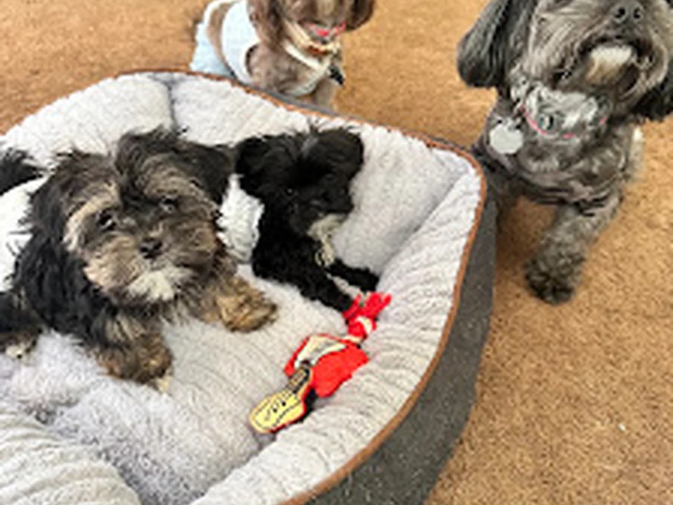 Columbia Belvedere Animal Hospital