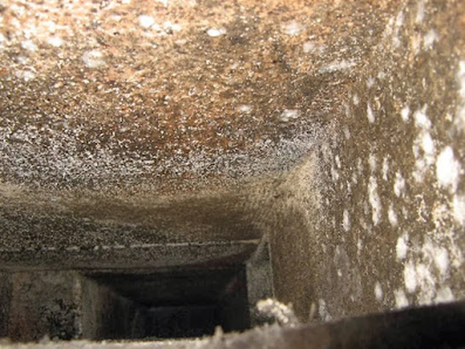 Daffy Ducts