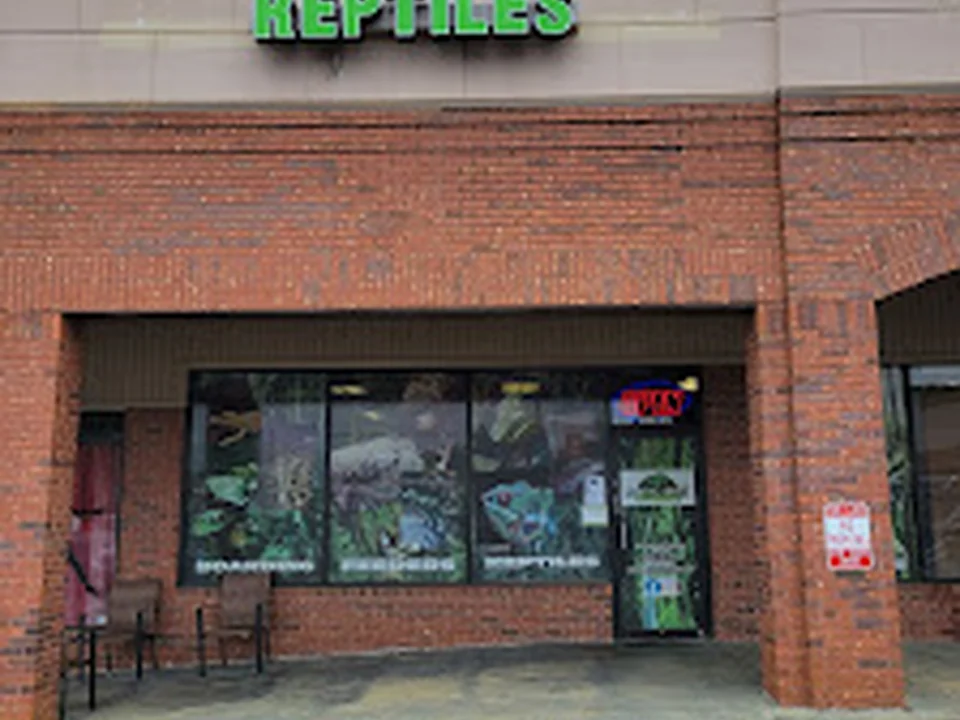 Exotic Envy Reptiles