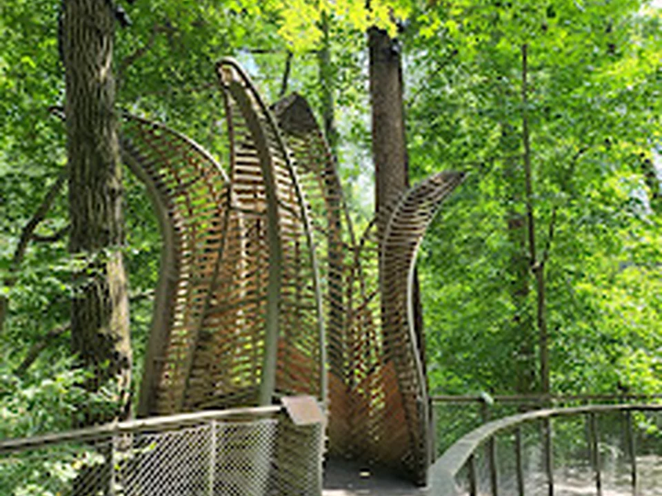 Fernbank Museum | 3D Theater | Forest