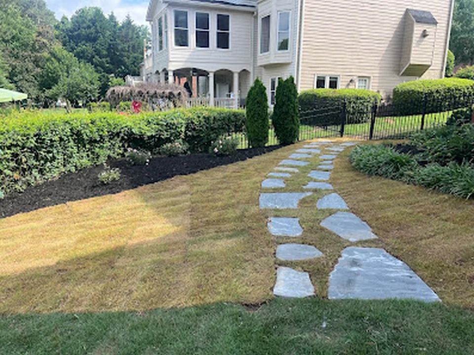 Gambo Scapes