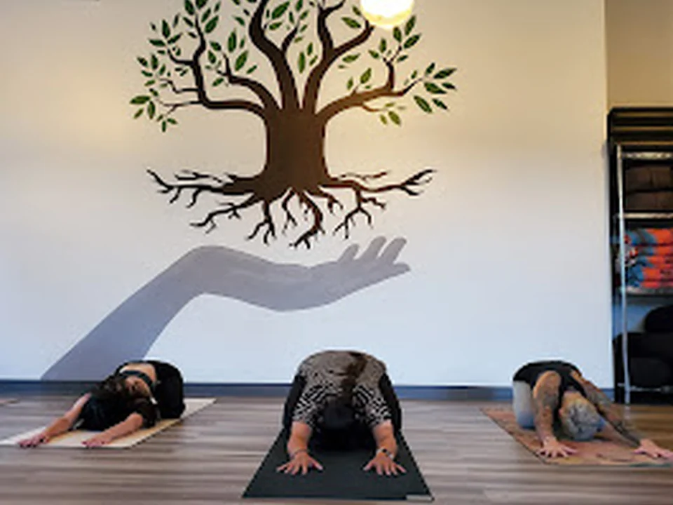 Giving Tree Yoga