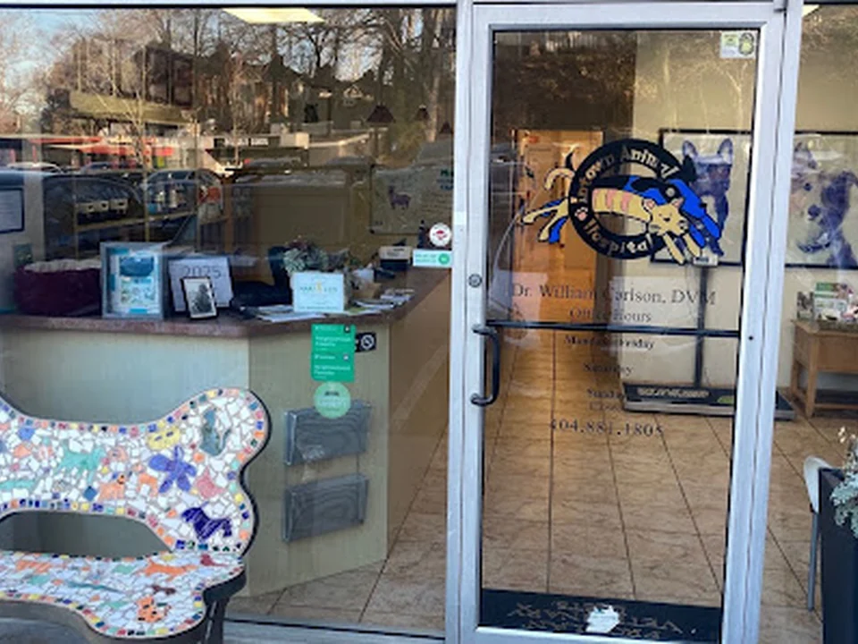 Intown Animal Hospital