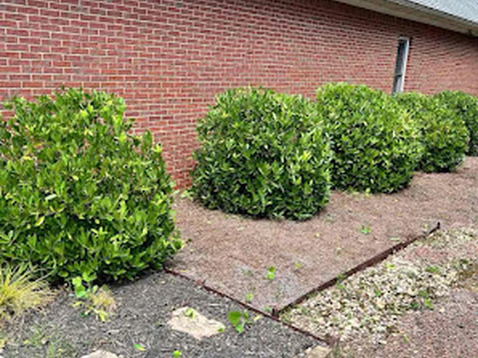 LawnStarter - Atlanta Landscaping