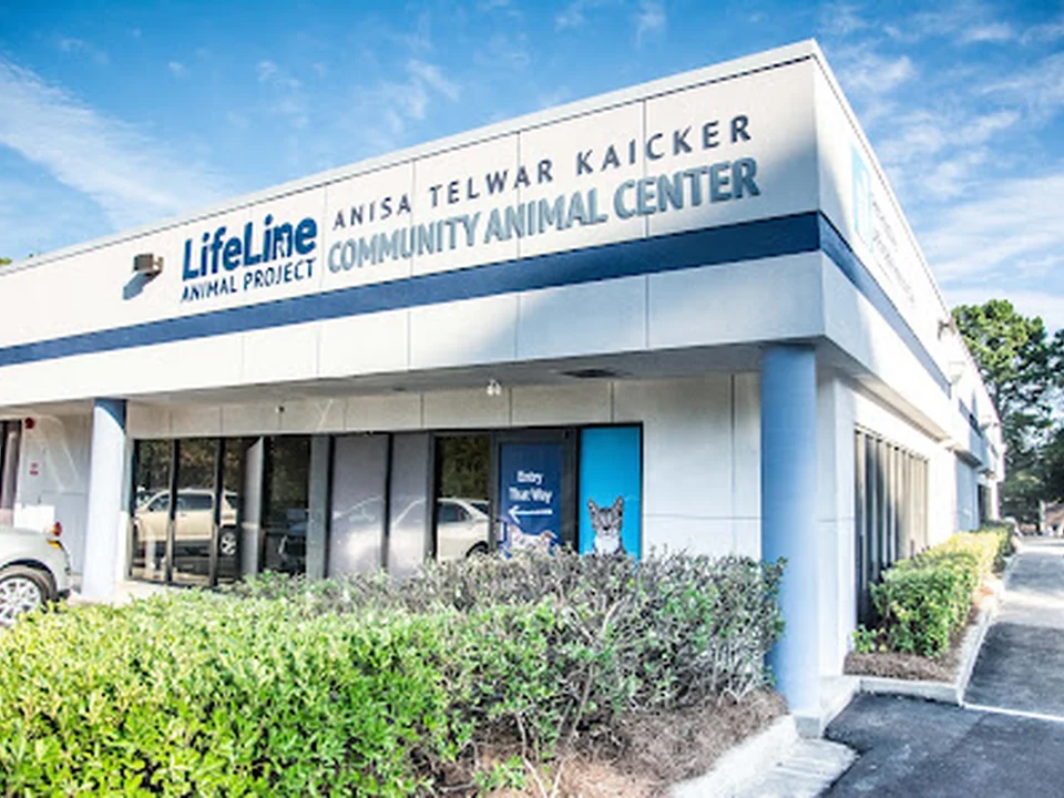 LifeLine Animal Project