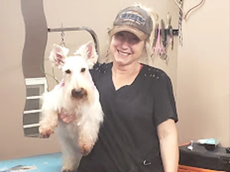 Michele's All Breed Grooming