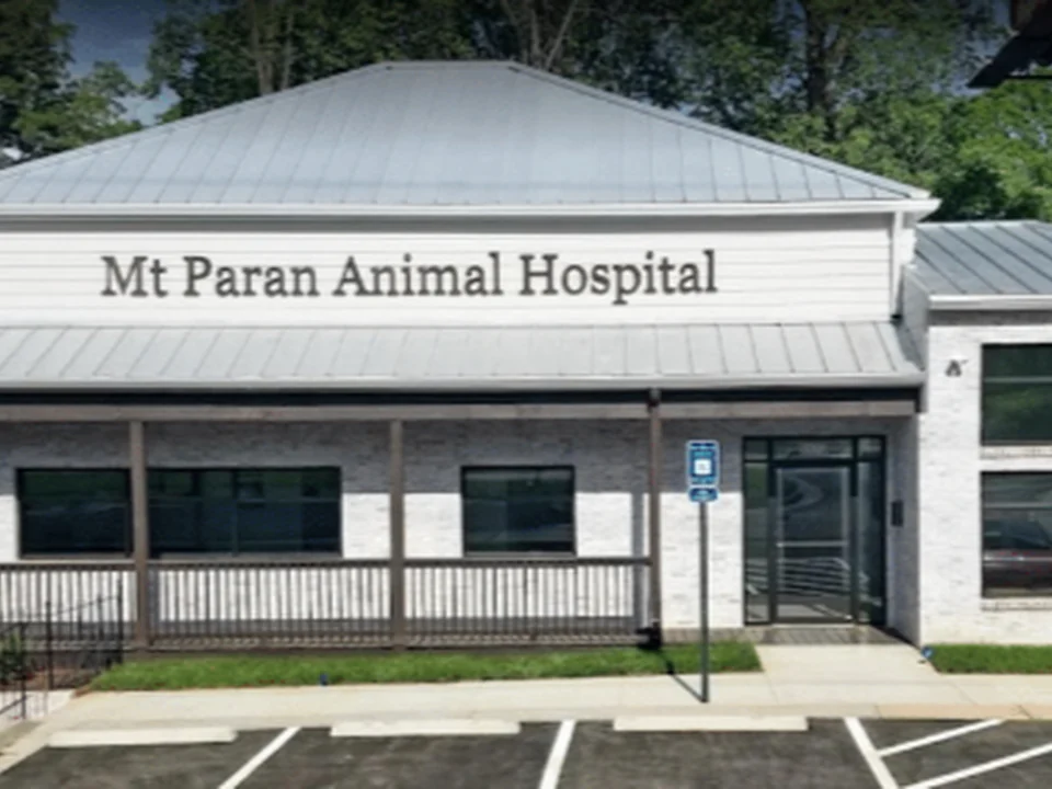 Mt Paran Animal Hospital