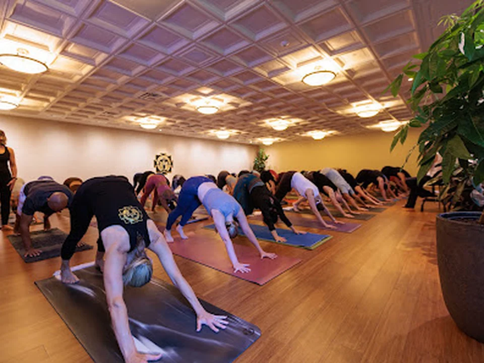 Mysore Yoga Atlanta