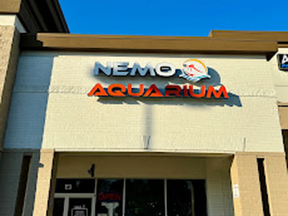 Nemo Aquarium