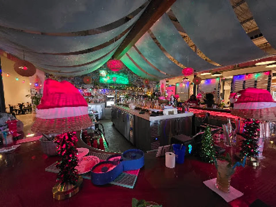 Neon Alligator Rum Club