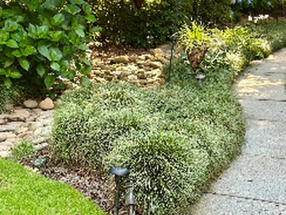 Outdoor Elements Design & Build LLC