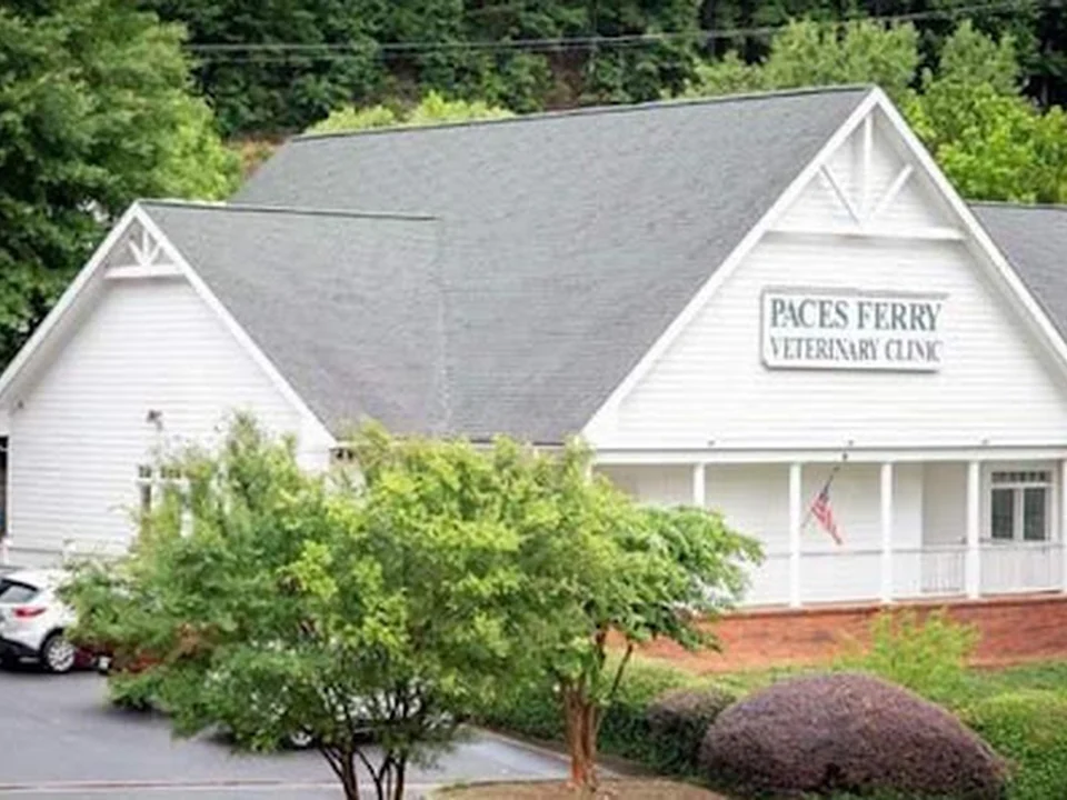 Paces Ferry Veterinary Clinic