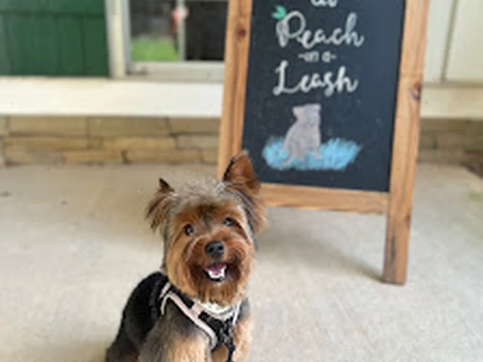 Foto de Peach on a Leash Dog Training and Behavior Services