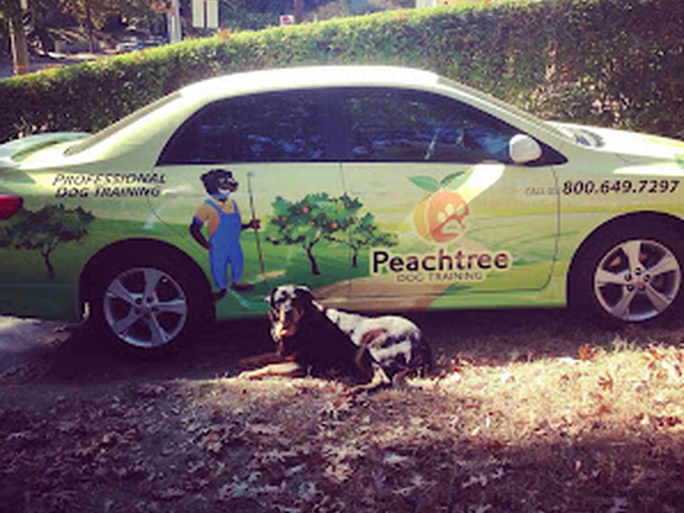 Peachtree Dog Training Atlanta