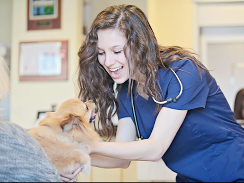 Peachtree Hills Animal Hospital