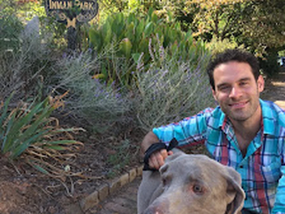 Pete the Dog Trainer