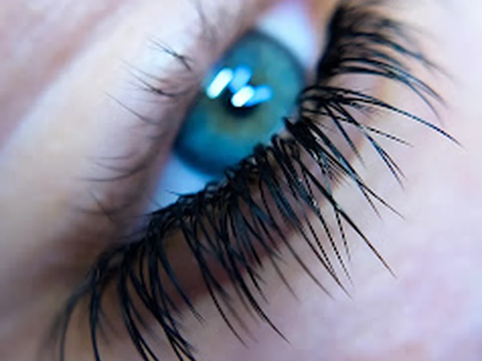 Rebel Lash Studios