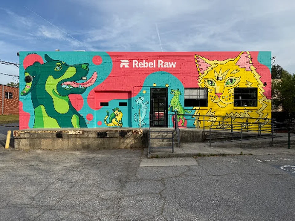 Rebel Raw