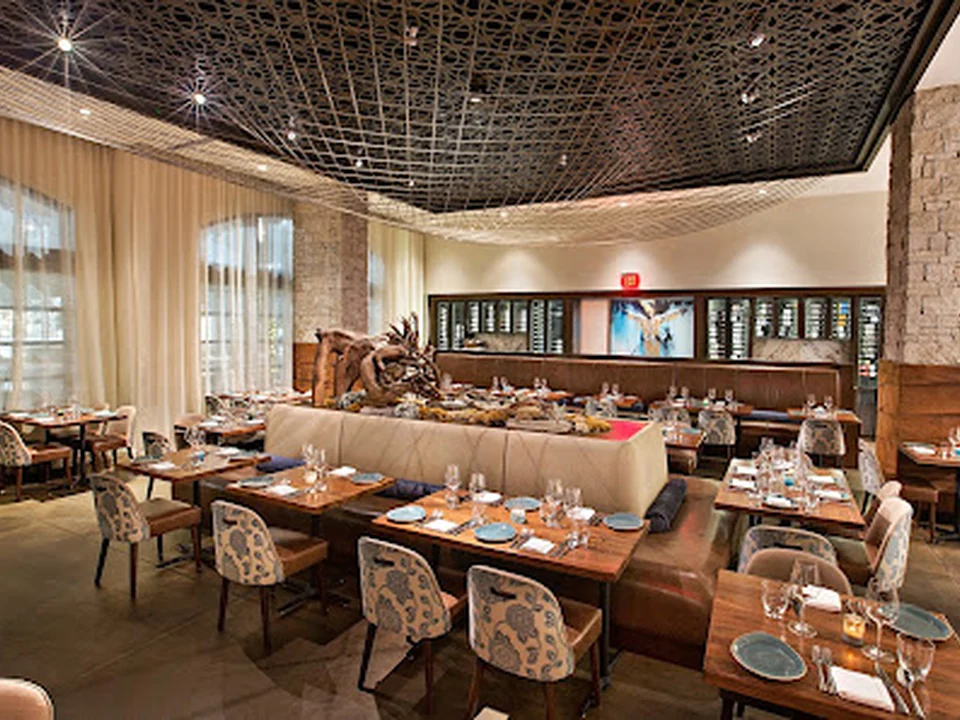Rumi's Kitchen Avalon