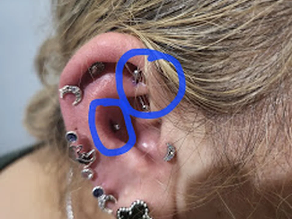 Salamandra Piercing