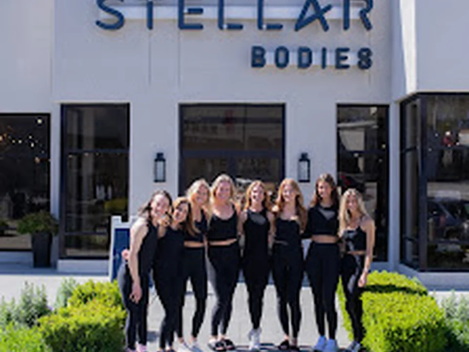 Stellar Bodies