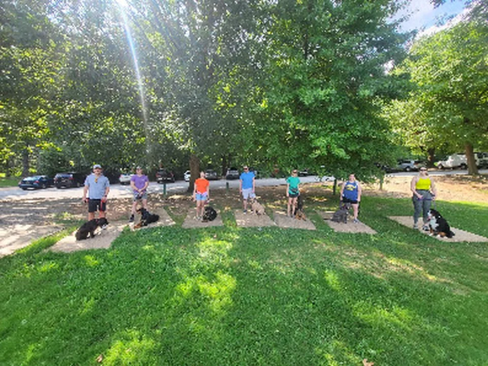 The Dog Wizard - Dog & Puppy Obedience Training Atlanta