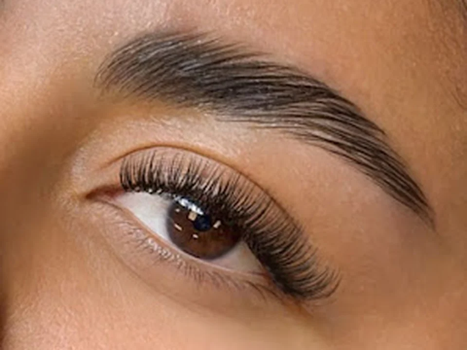 The Lash Lounge
