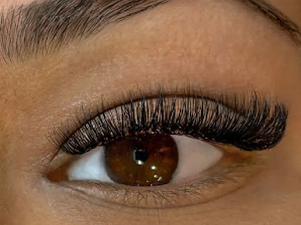 The Lash Lounge