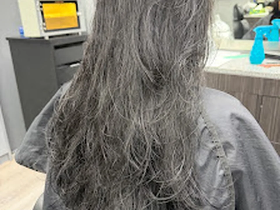 The Oasis Salon & Spa