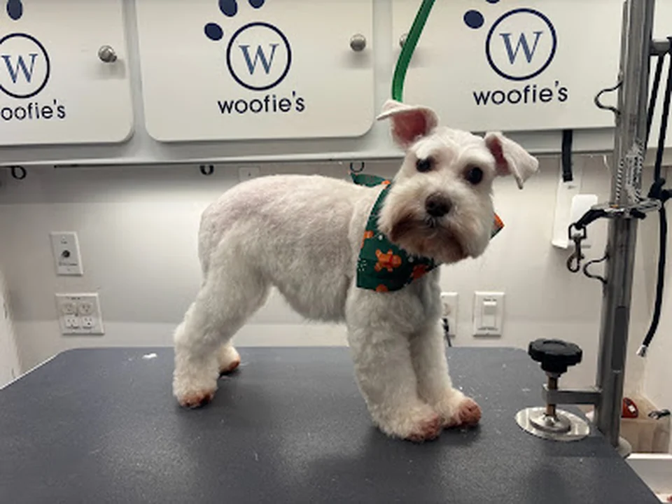 Woofie's of North Atlanta