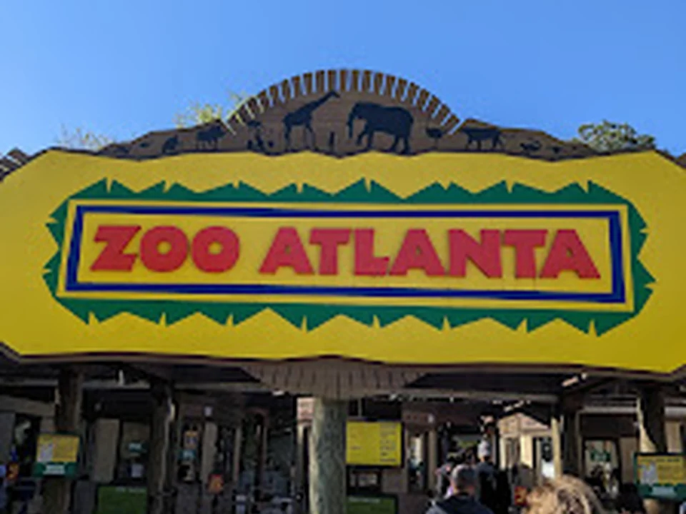Zoo Atlanta Gift Shop