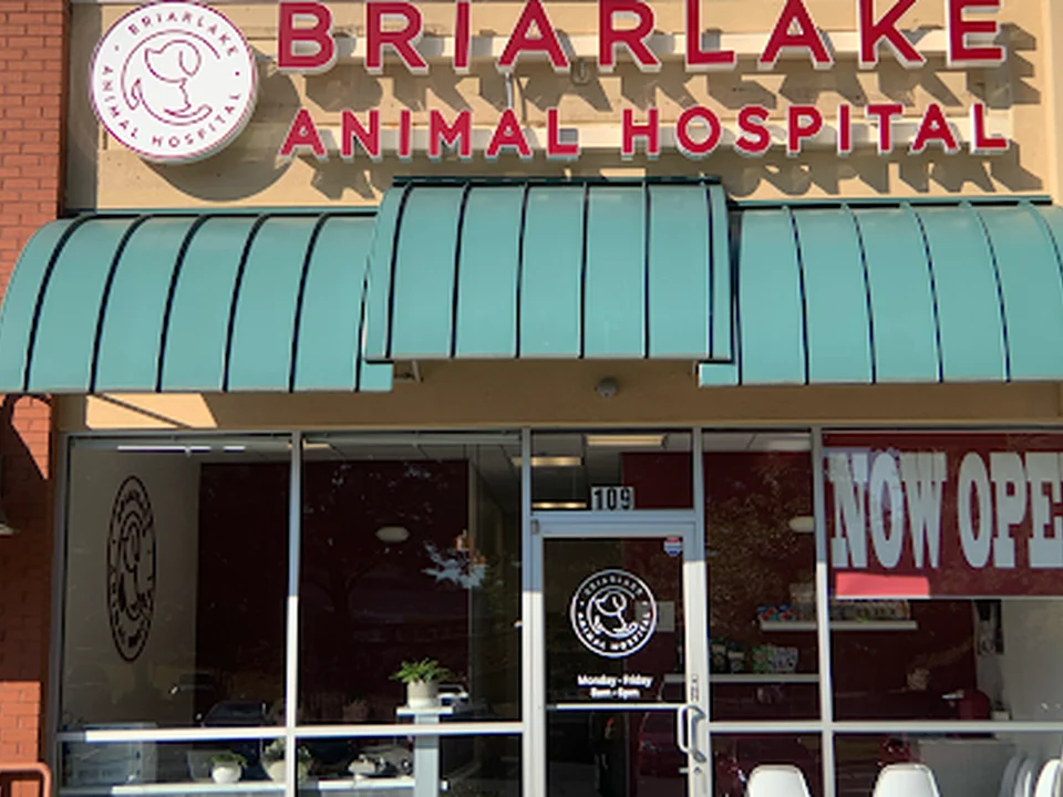 Briarlake Animal Hospital, Atlanta