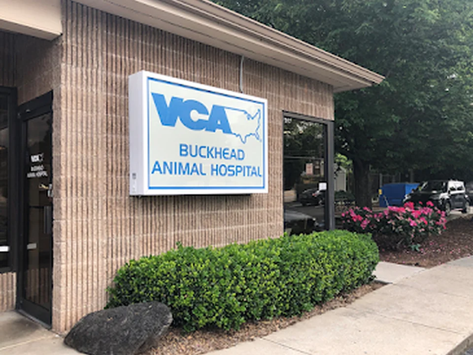 VCA Buckhead Animal Hospital, Atlanta