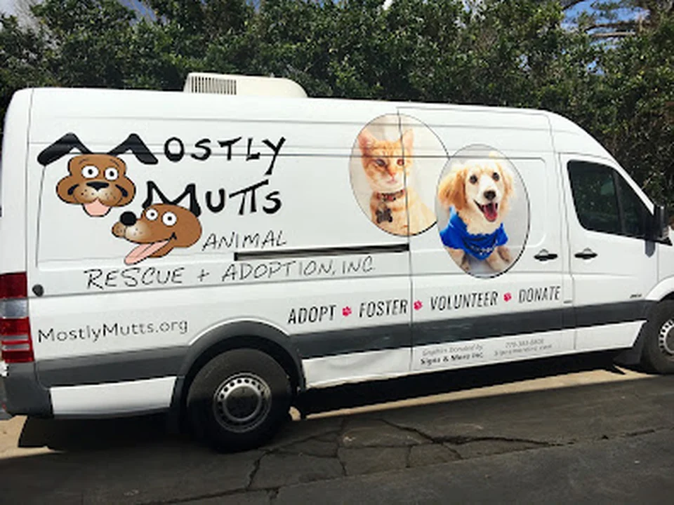 Mostly Mutts Animal Rescue, Atlanta