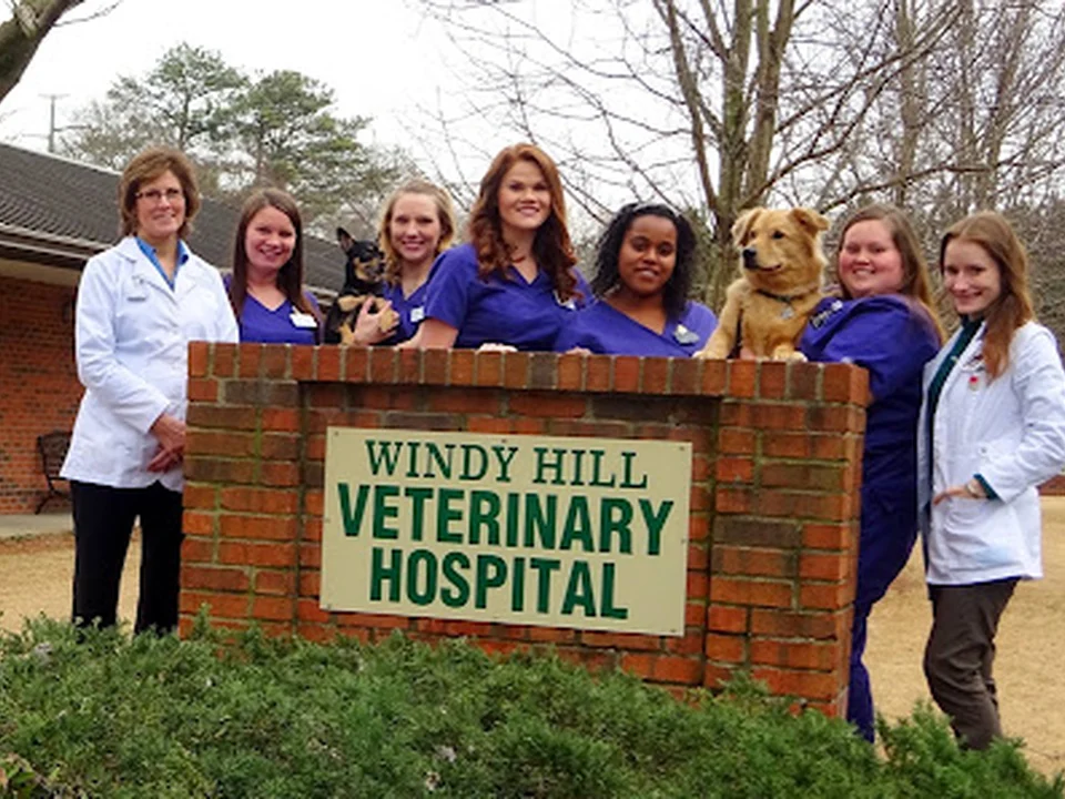 Windy Hill Veterinary Hospital, Atlanta