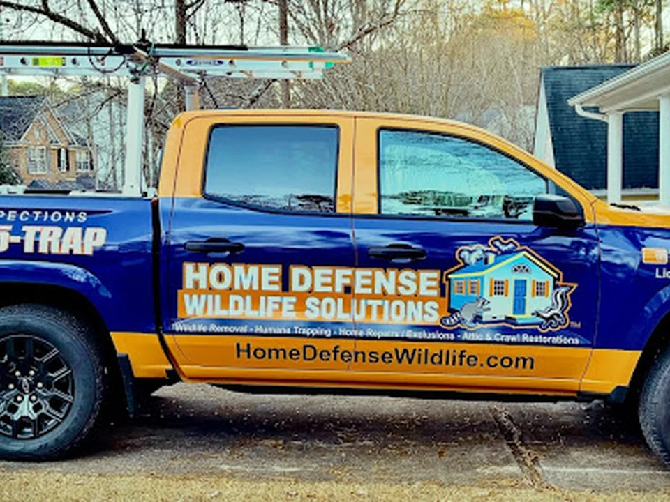 HomeDefense Wildlife Solutions, Atlanta